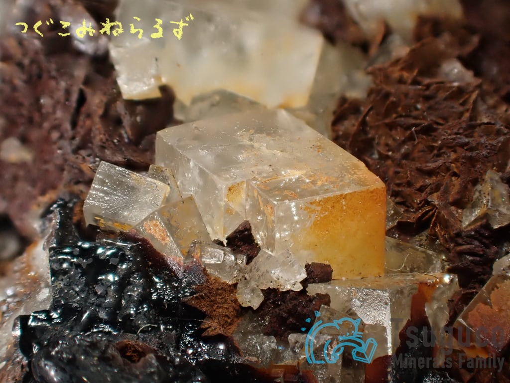 フローライト 蛍石 Fluorite イギリス TM-0008