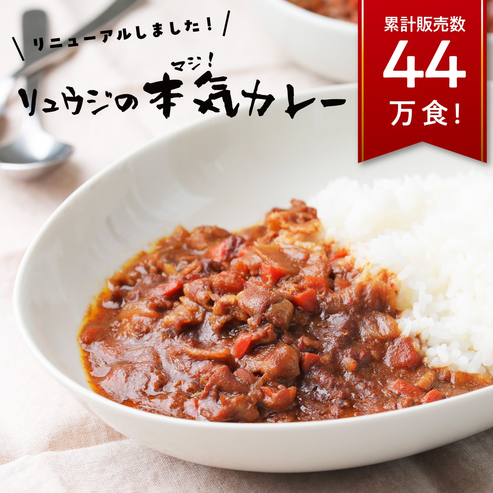 【中古】カレーライスの本 :人生の気つけ薬!!みんな大好き!!<Futababooks>／全日本カレーライス同好会 編／双葉社 リュウジの本気カレー | BAZU GOODS | バズグッズ