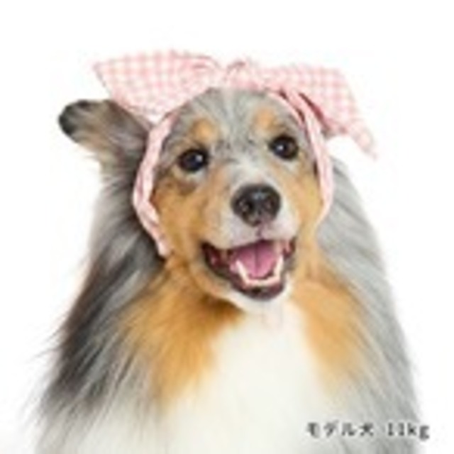犬用ヘアバンド　ギンガムチェックヘアバンド