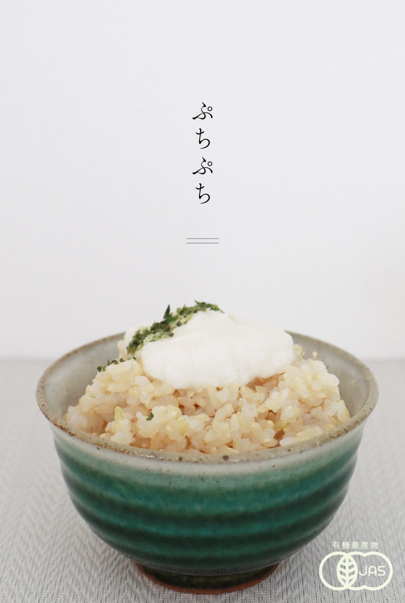 有機JAS】ぴかまる（玄米）2kg｜熊本県熊本市産｜五ッ星お米マイスター