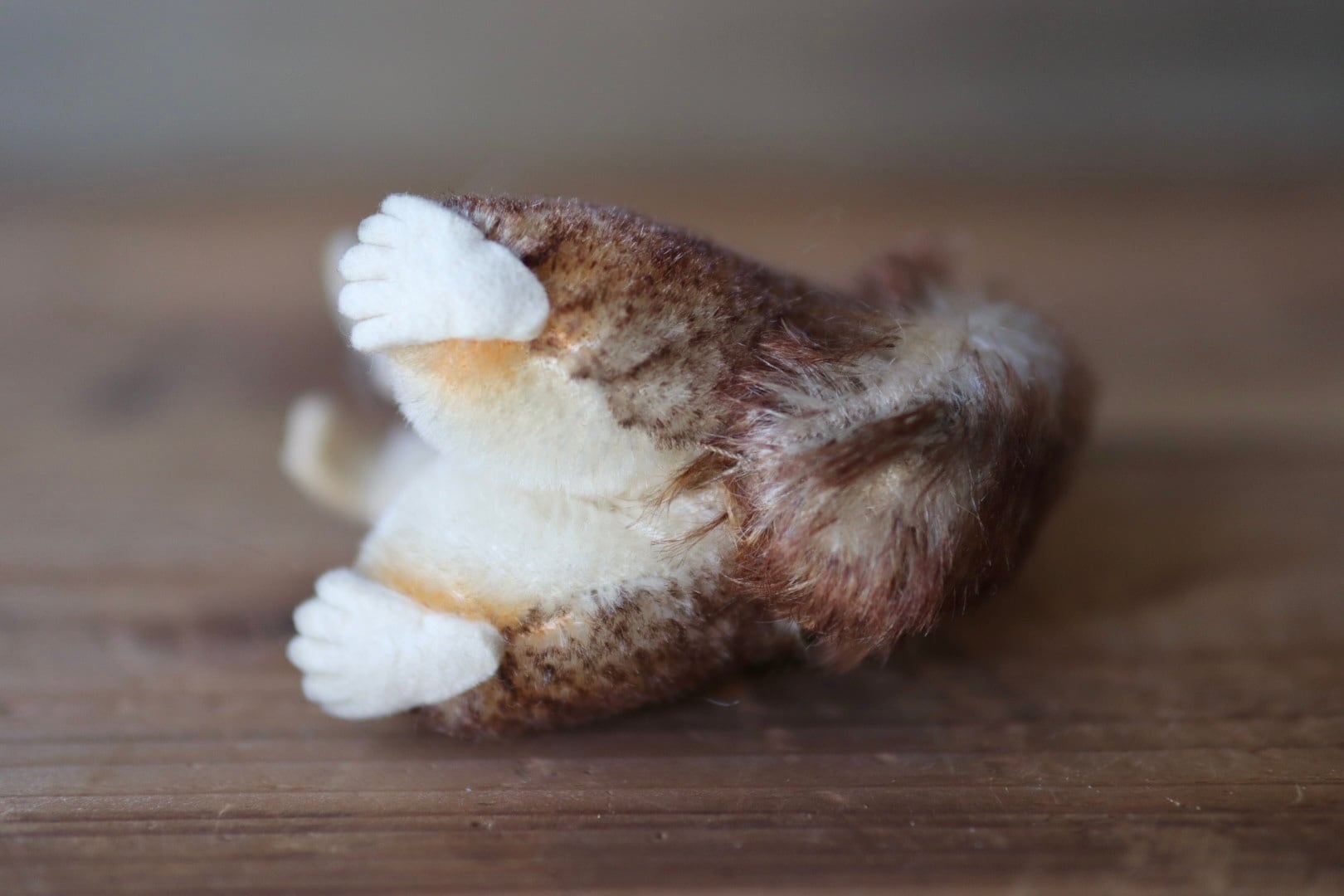 シュタイフ ぬいぐるみ リス Perri ヴィンテージ