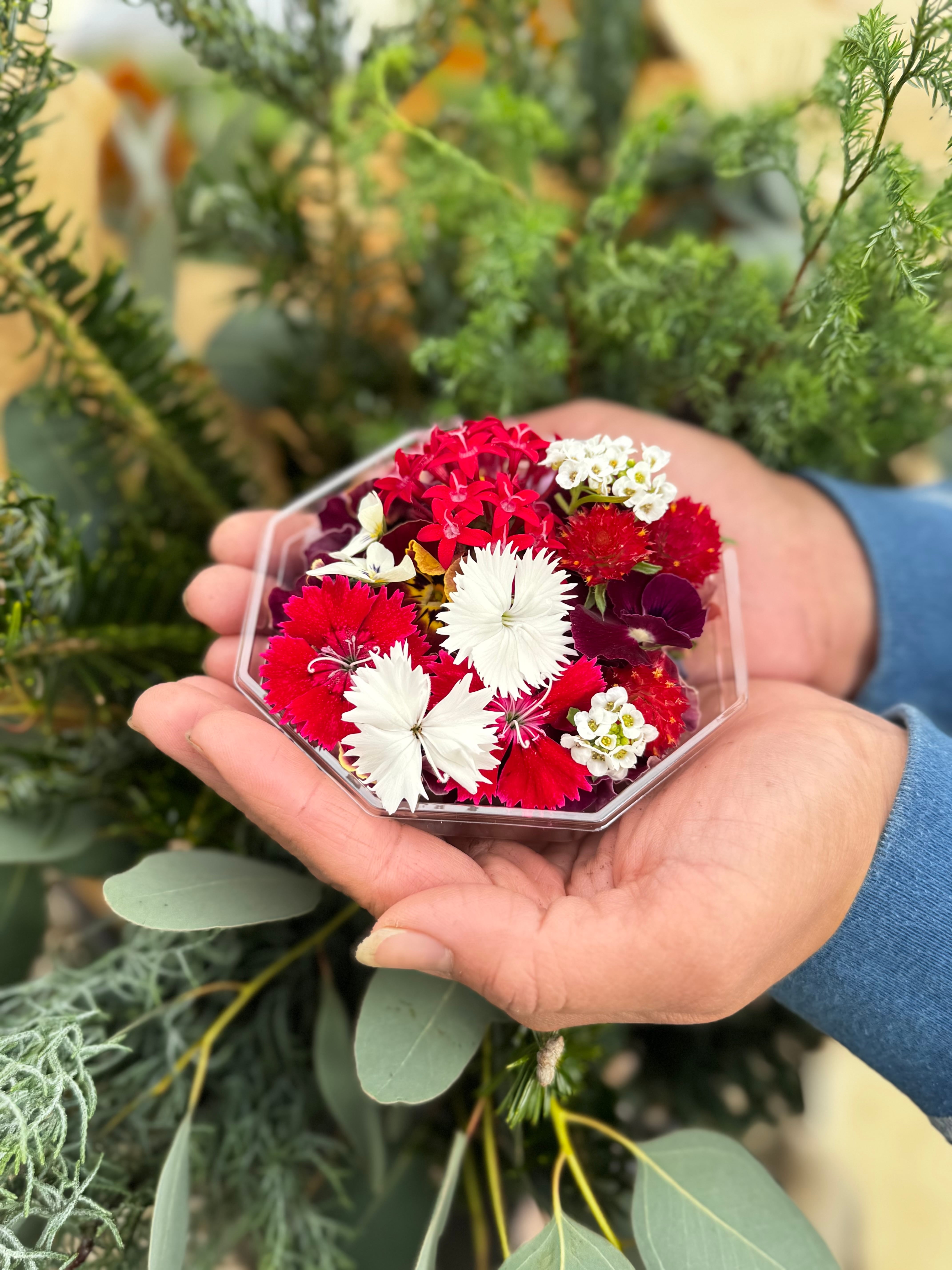 ワインレッド L(100本) サヴォンローズ 花束 | Pay ID