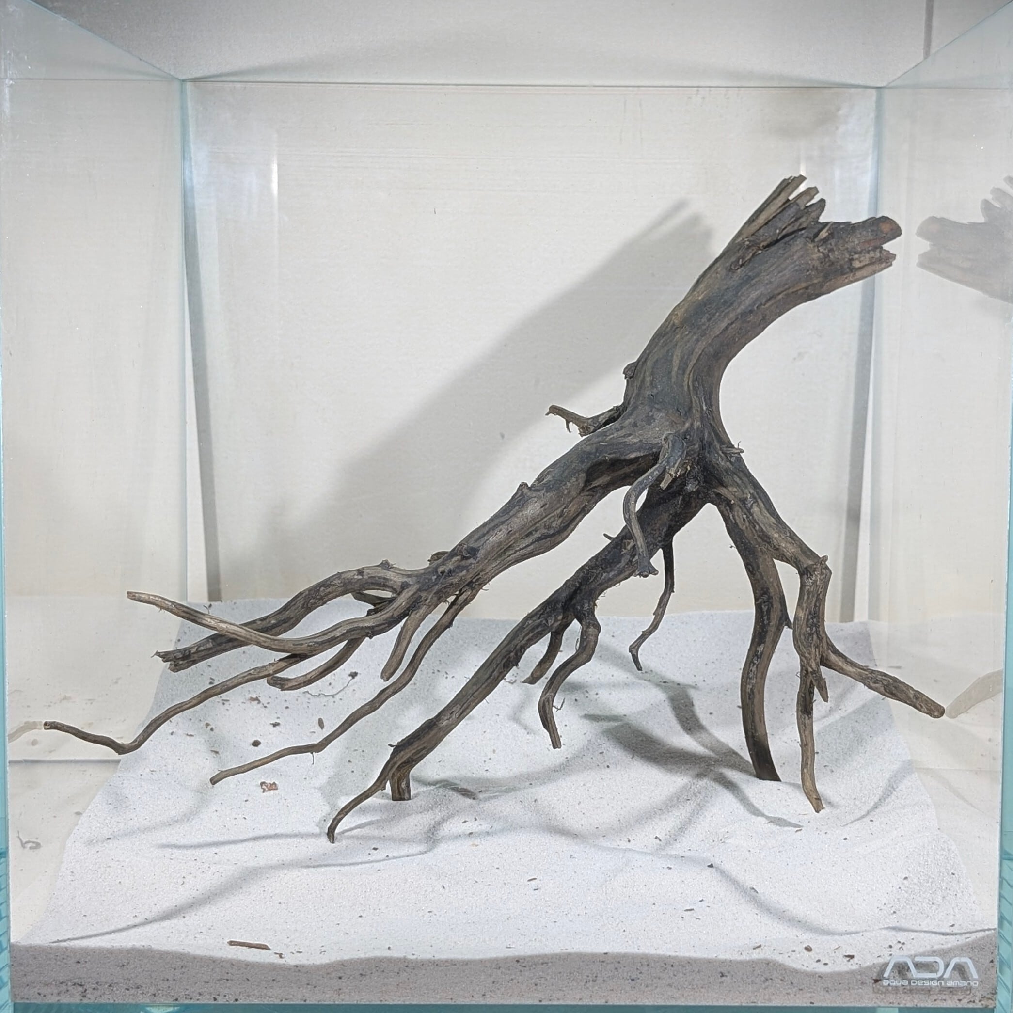 ブラックスマトラブランチウッド【BSB090】 | ペットの流木 水宗工房