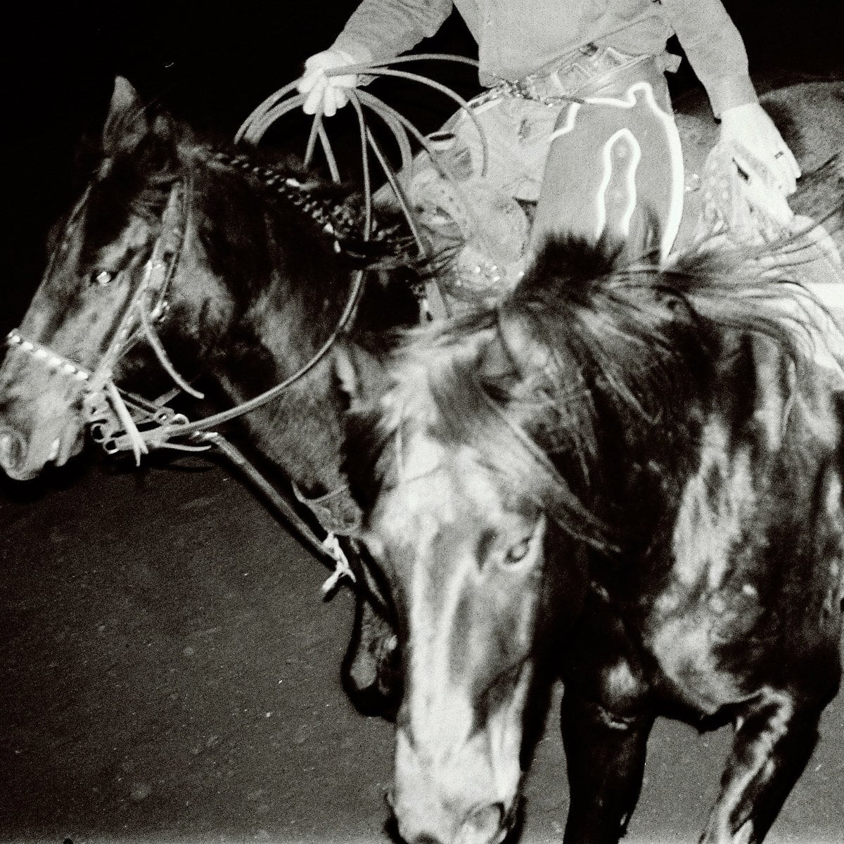 Holy Motors / Heaven's Night(100 Ltd Haze LP)