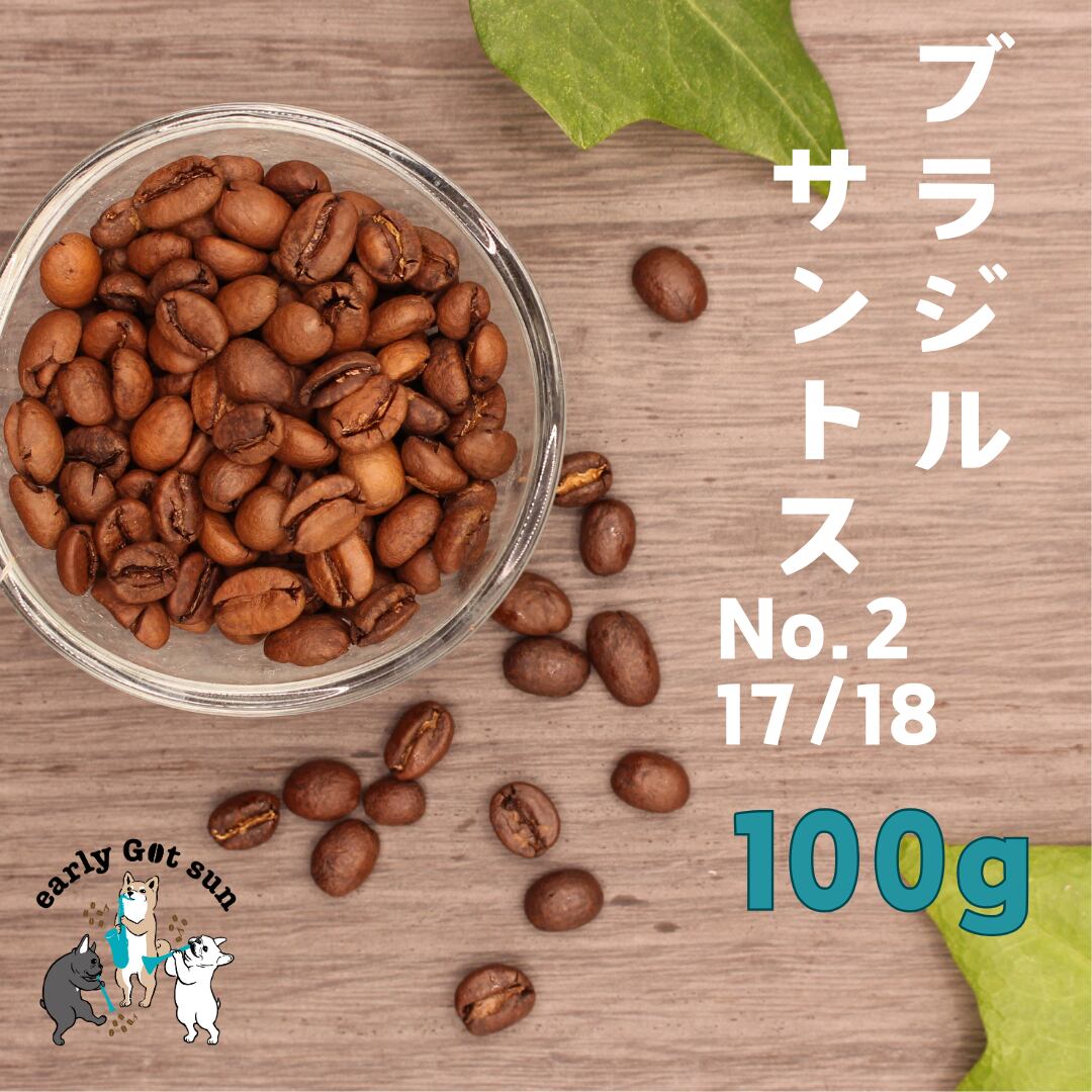 コーヒー ブラジル サントス生豆 5kg 【公式通販】