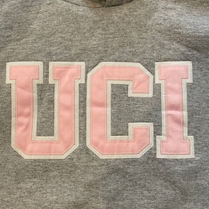 【champion】カレッジ 刺繍ロゴ UCI カリフォルニア大学 スウェット パーカー プルオーバー US古着