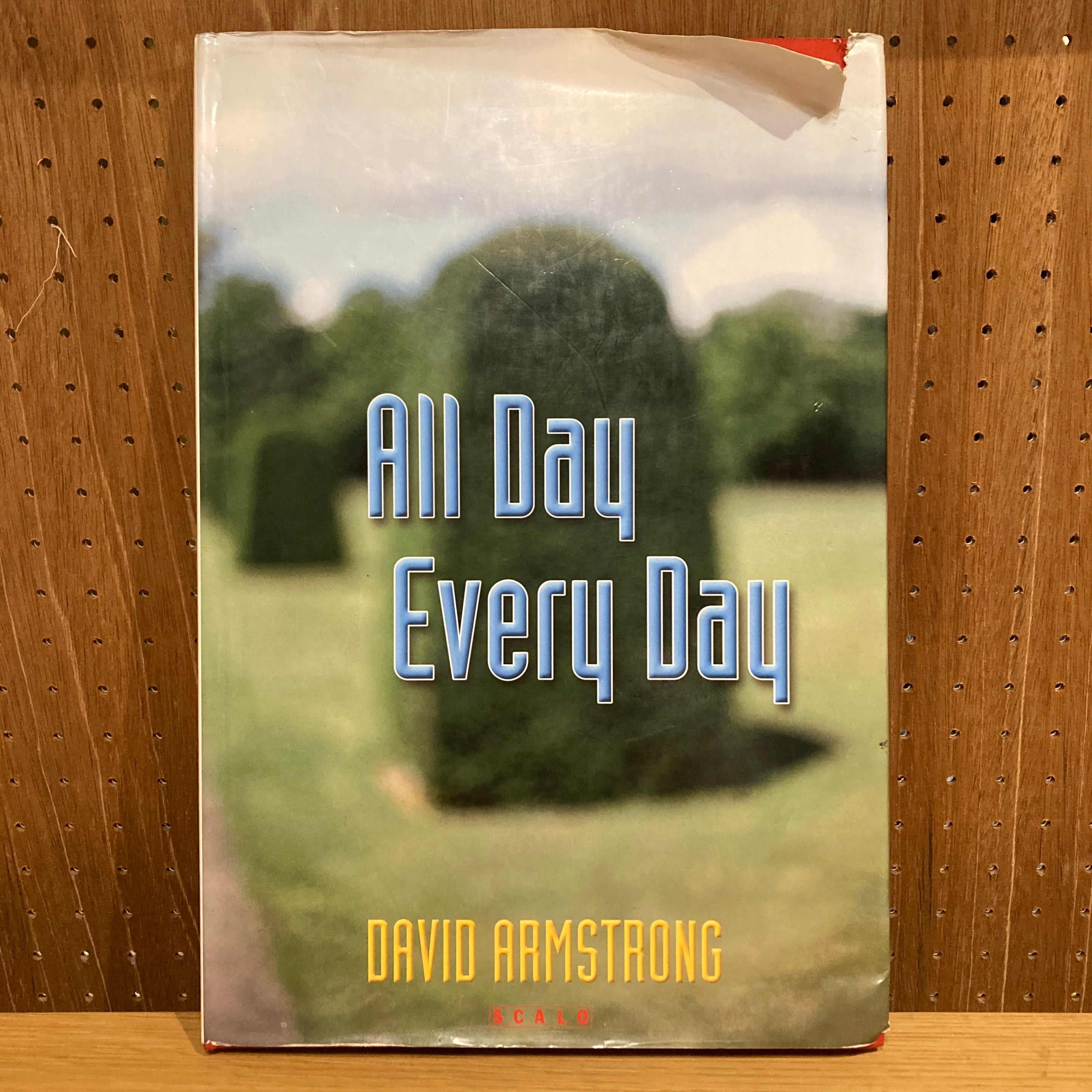 ALL Day Every Day / David Armstrong | 百年