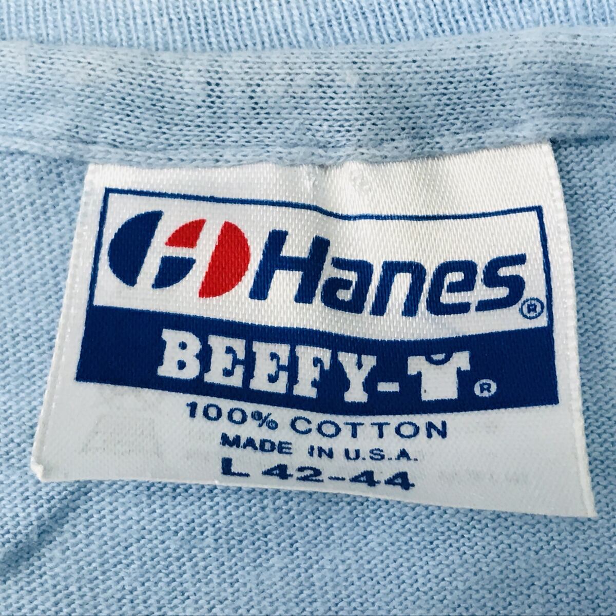90年代 ヘインズ Hanes BEEFY-T 青タグ プリントTシャツ USA製 メンズL ヴィンテージ /eaa340512