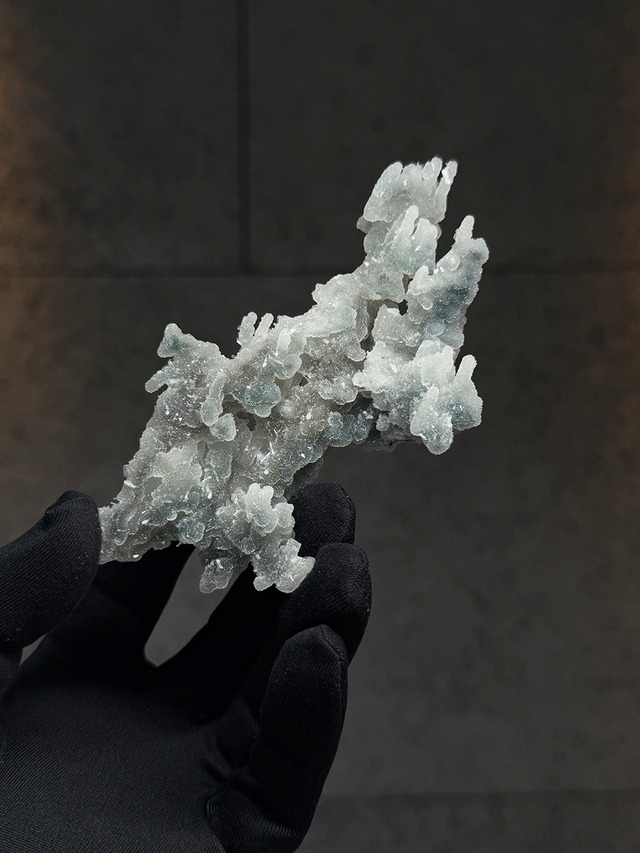 ブルーカルセドニーコーラル【ML-0176】インド