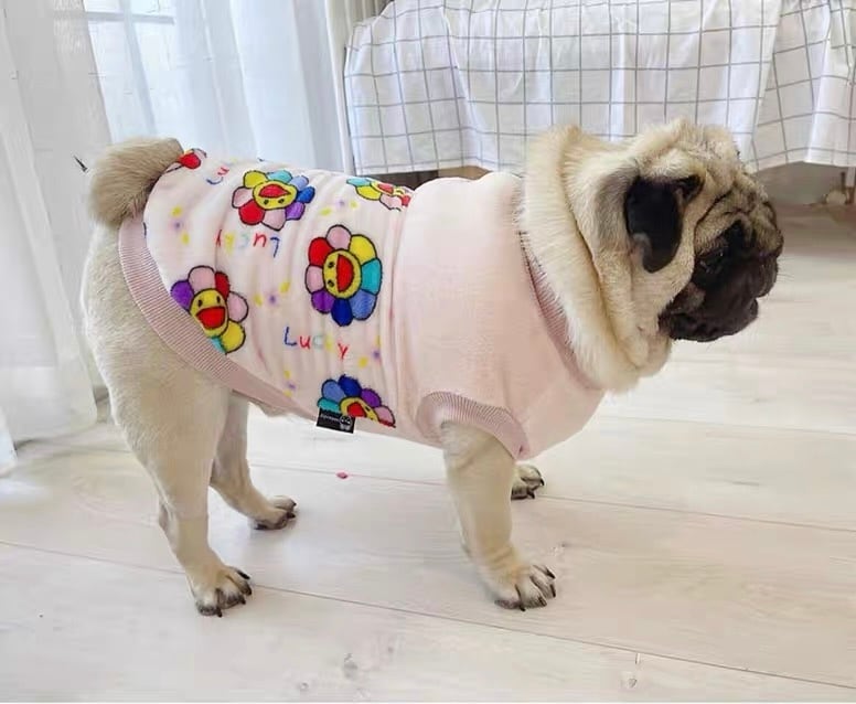 わかば様専用○犬服○ハンドメイド 胴59 NO.681 フレブル わかば様専用