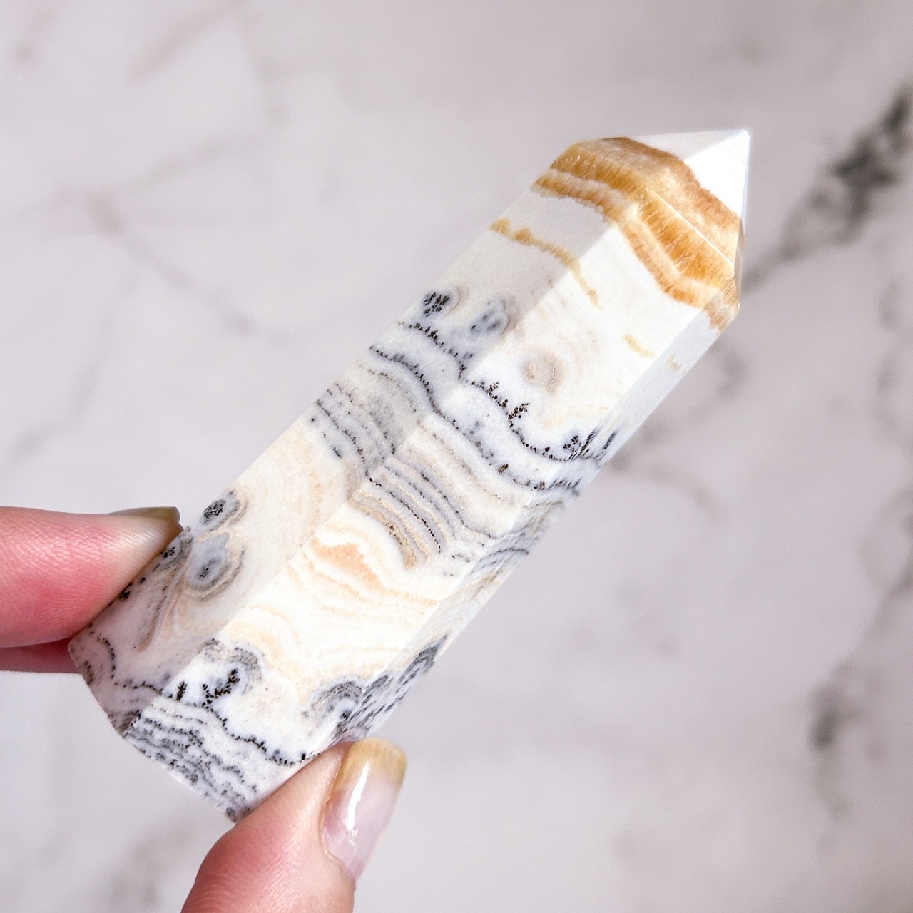 デンドリティックオレンジカルサイト タワー B