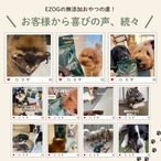 エゾ鹿ミンチ ５００g　１００ｇ×５パック　（ペット用・冷凍）