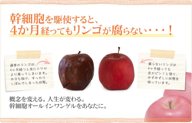 メスを使わない美容整形 幹細胞オールインワンゲル Neo Universe ネオユニバース La Tiara オンラインショップ