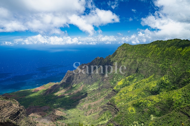 ハワイ カウアイ島 カララウ渓谷 フォトパネル 海響(MIKI) エネルギーフォト　