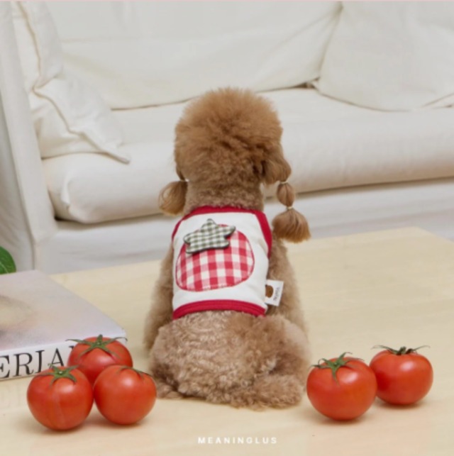 【meaningless】TOMATO CROP