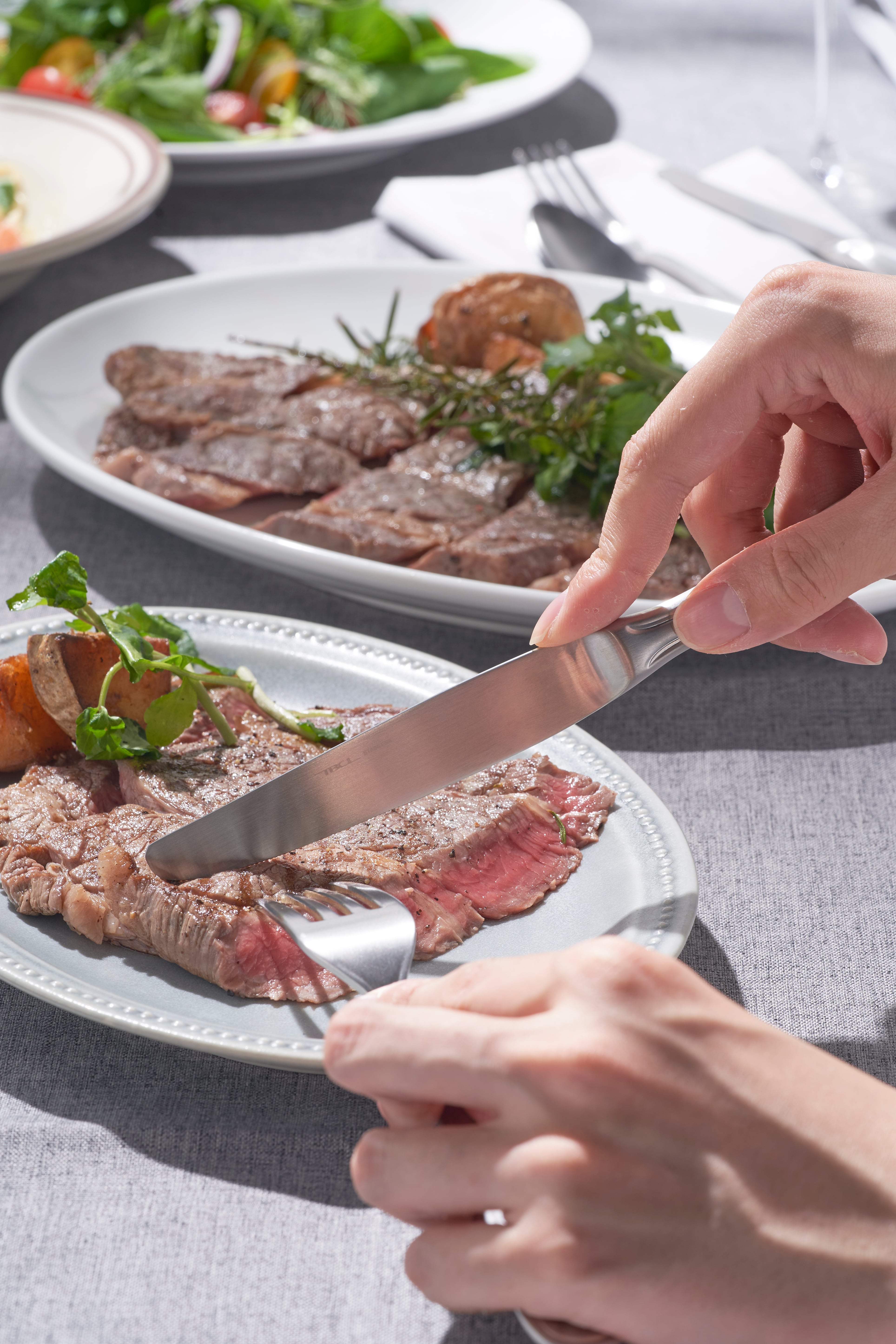 Newport 王道カトラリー ギフト セット カトラリー5種 計25pc | 燕物産