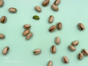 A4 トライアルセット