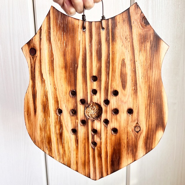 ビカクシダ ウィリンキー 板付 【観葉植物 室内 コウモリラン】