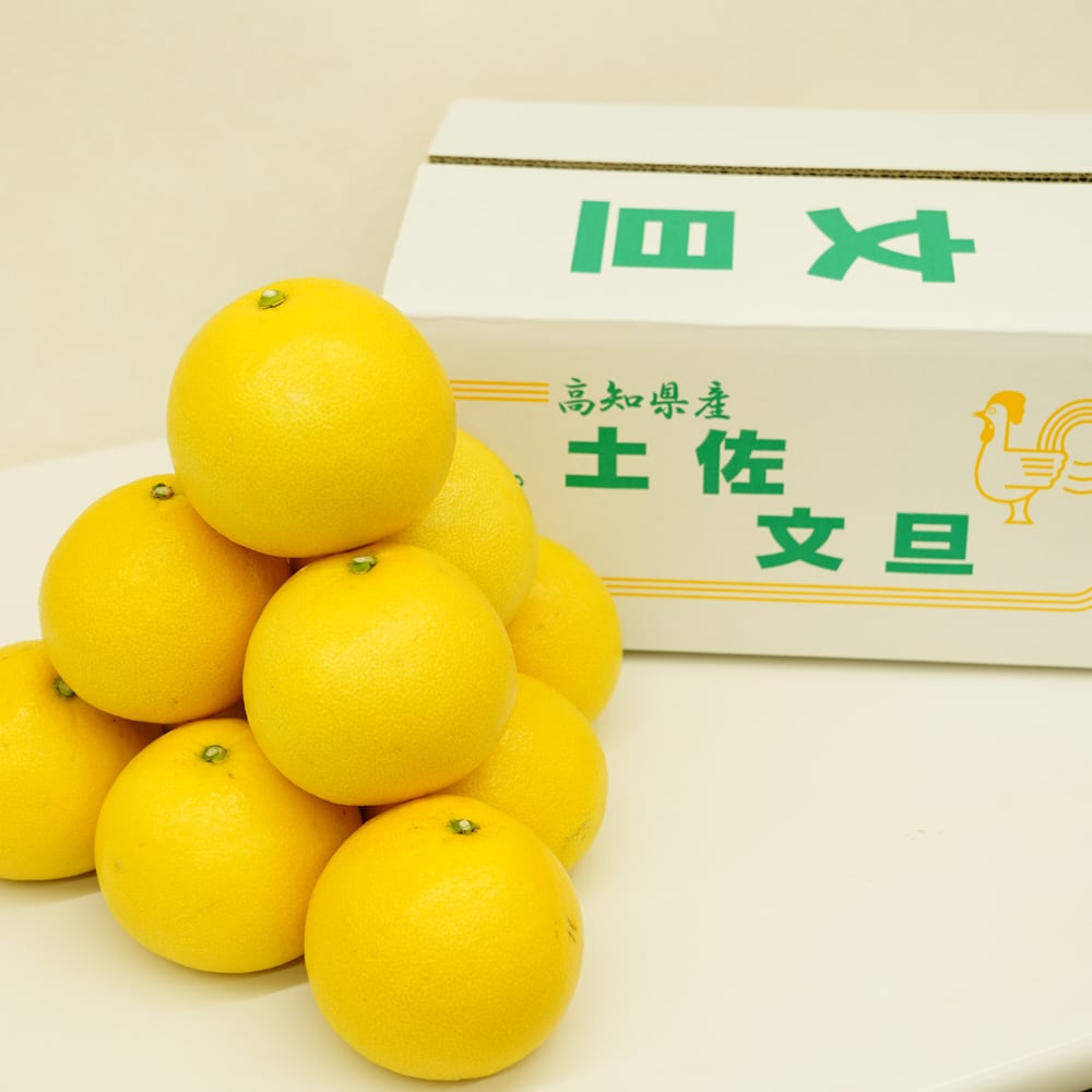 松岡農園 土佐文旦 5kg 家庭用 高知県産 産地直送 | すくも特産品マルシェ