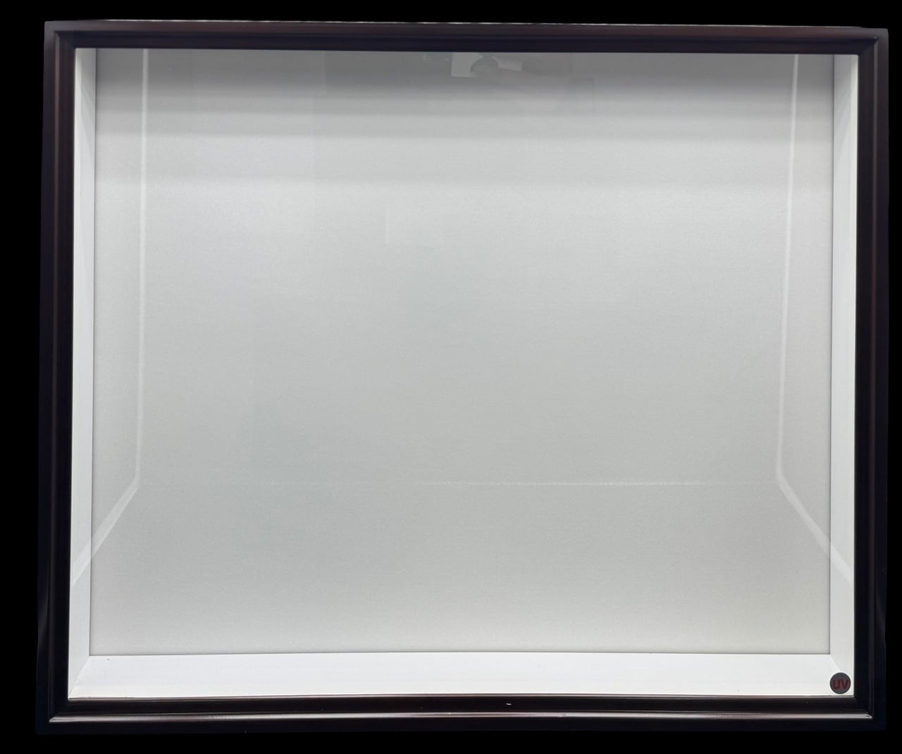 茶】バードウィング製 ドイツ型標本箱 大型BW60 UVカット仕様 | KPW