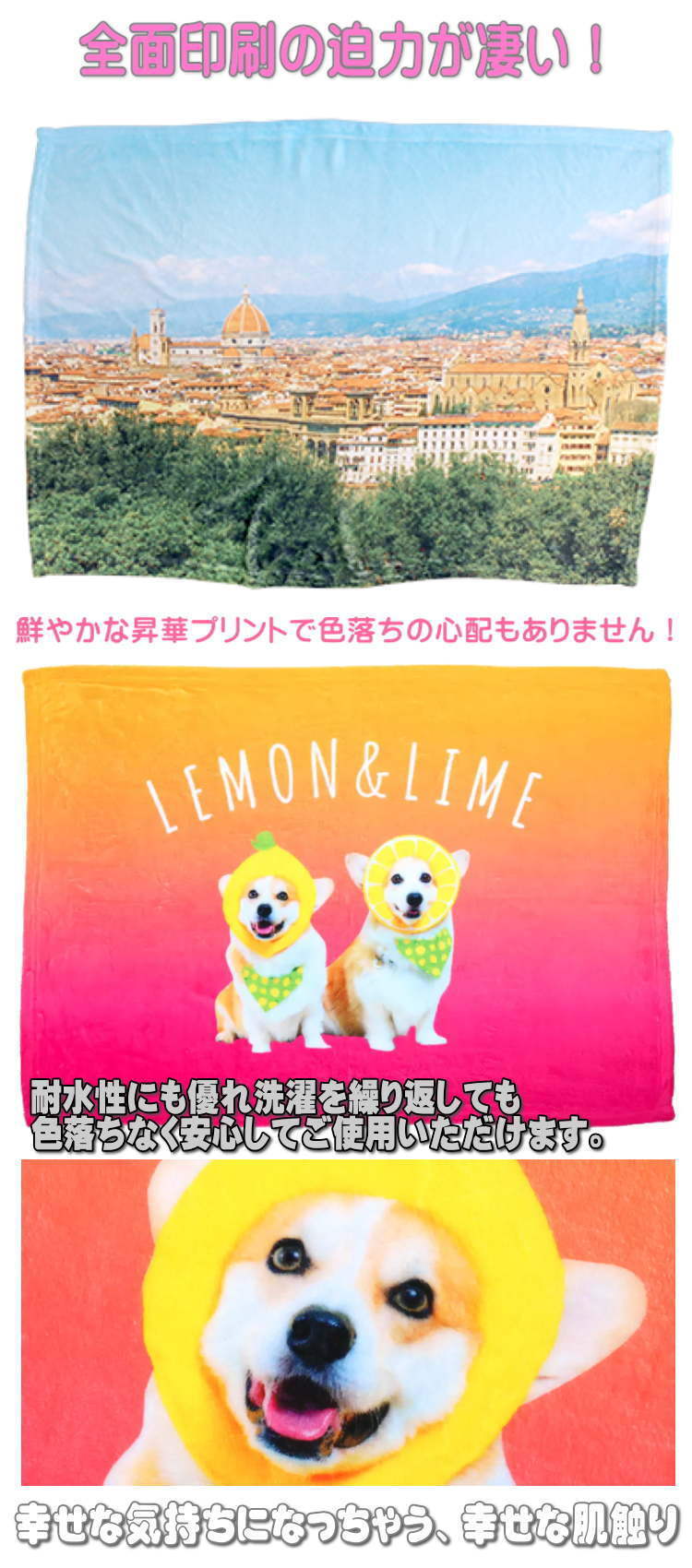 フトアゴヒゲトカゲ 爬虫類 ソフトブランケット ひざかけ 毛布 グッズ