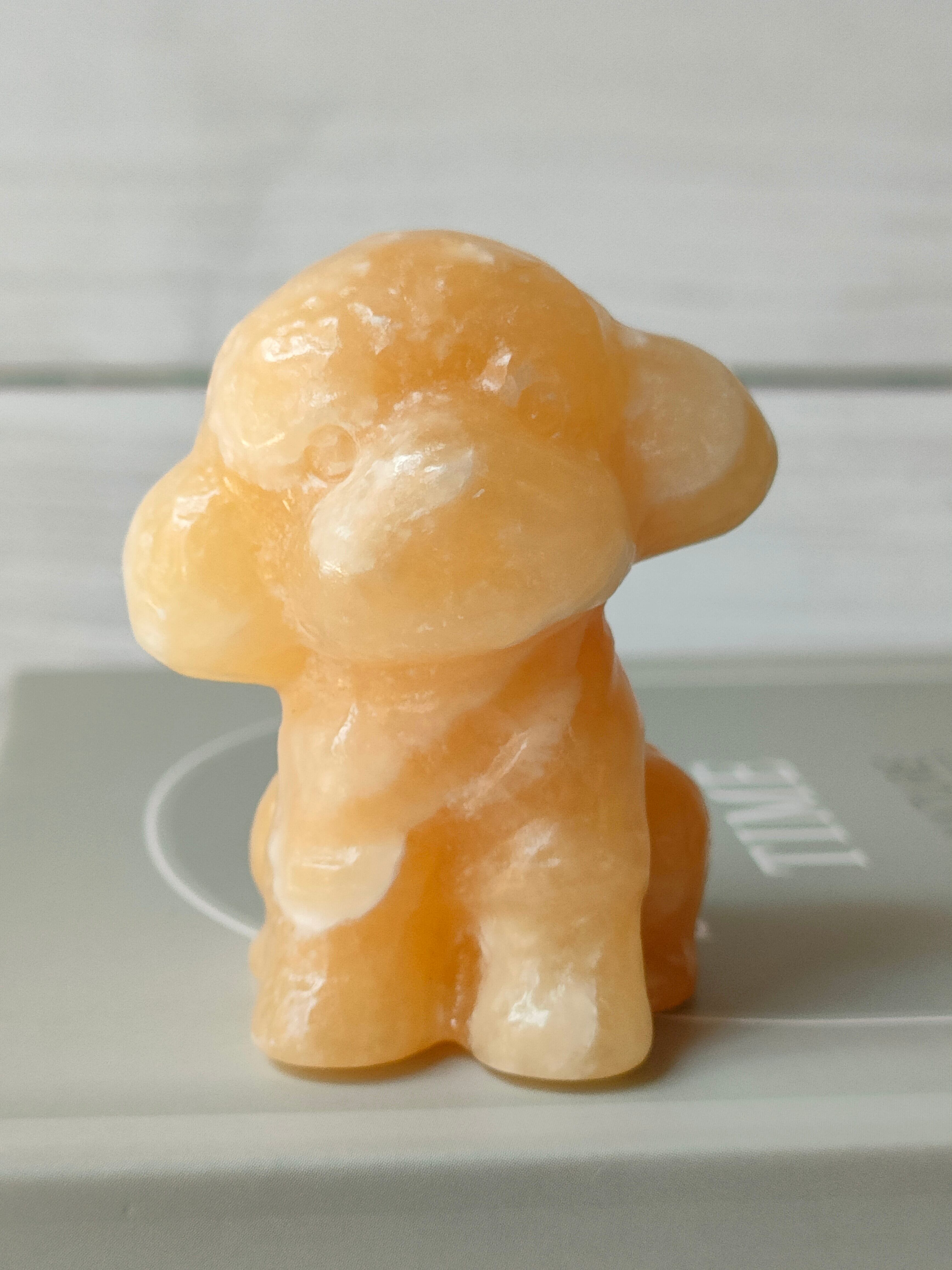 トイプードル、ジオードクォーツ