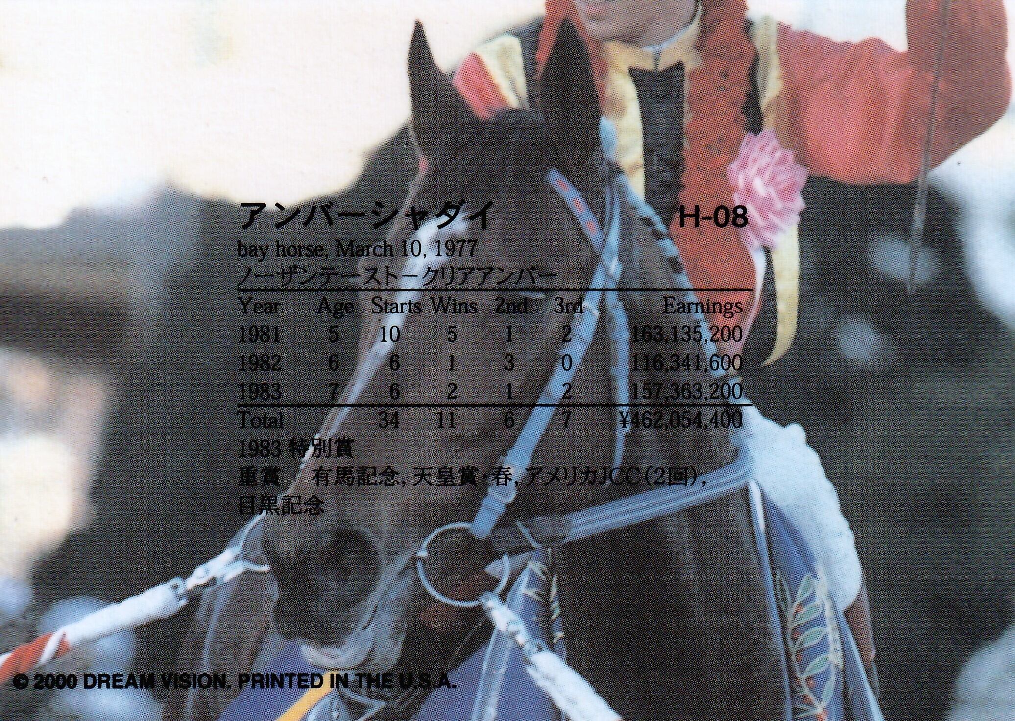 アンバーシャダイ(Dream)「The Victory 2000」H-08 | Pay ID