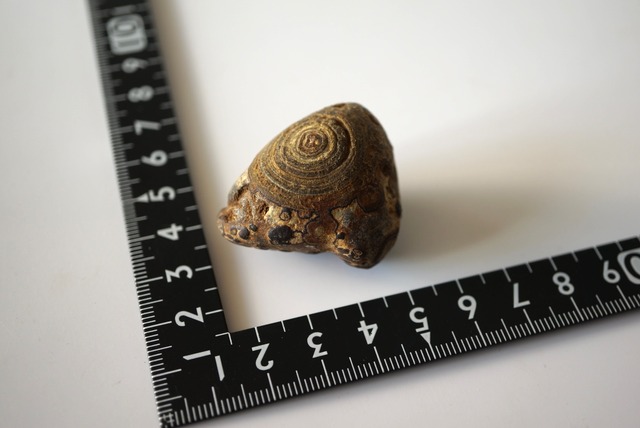 ゴビアゲート Gobi Agate 1100