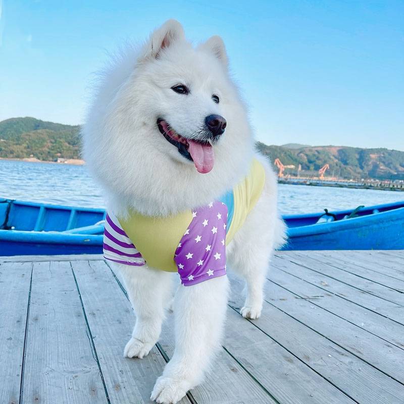 受注生産 3XL~6XL ツートンカラーと袖が可愛いお洋服