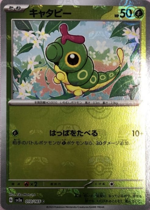 【美品】キャタピー(マスターボールC)