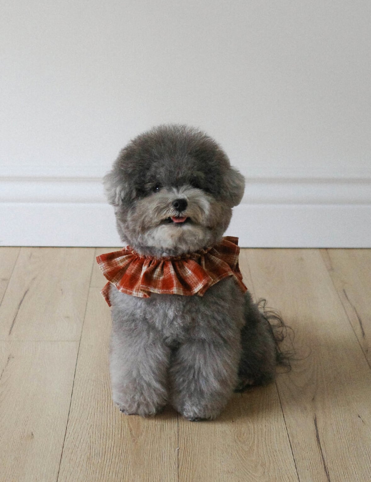 〈予約アイテム〉OHDIBS / capeness no.11 _ Brick Red