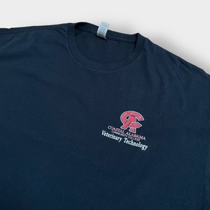 【GILDAN】3XL ビッグサイズ カレッジロゴ プリント Tシャツ COASTAL ALABAMA COMMUNITY COLLEGE ワンポイントロゴ バックプリント 半袖 黒 US古着