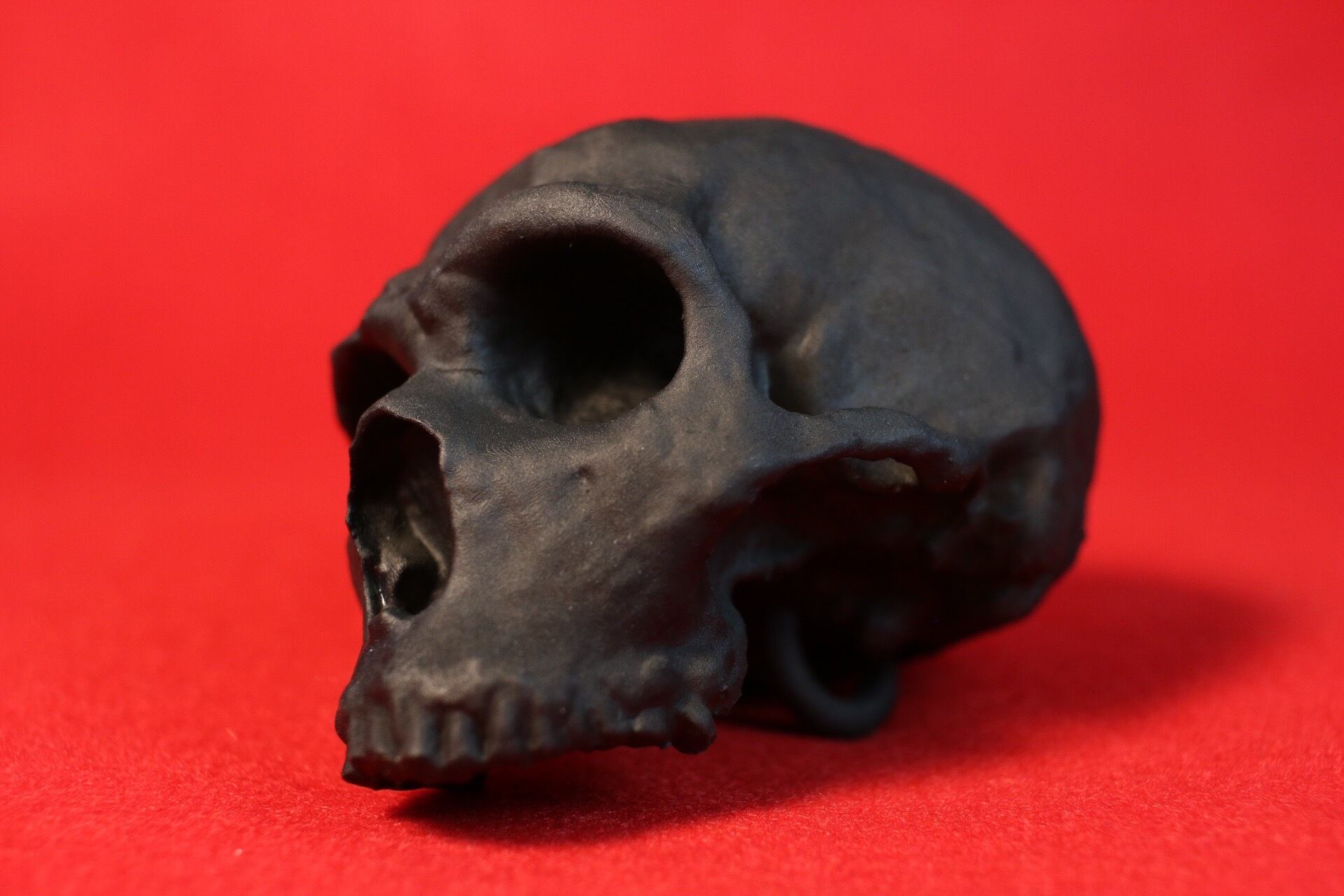 ネアンデルタール人の頭蓋骨、レプリカ。 【公式通販】