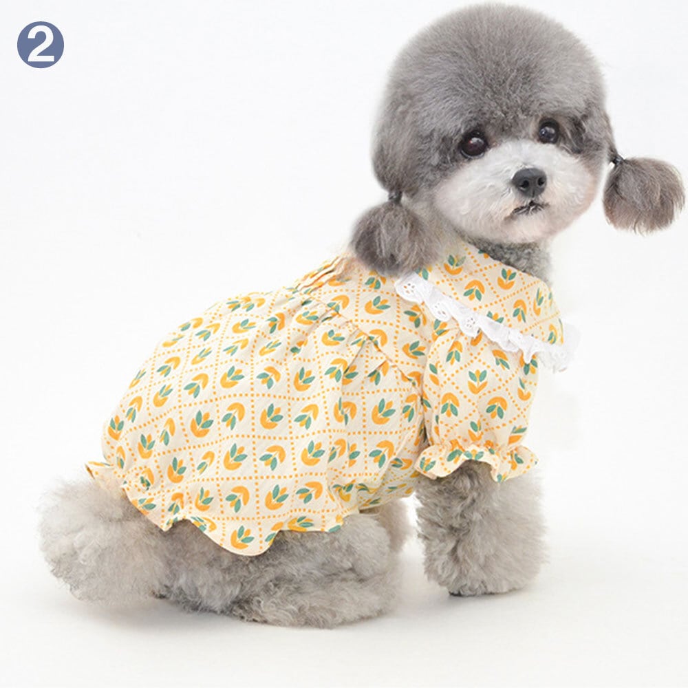 81f121581344d750cfd6a037681a98