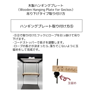 木製ハンギングプレート｜樹上棲ヤモリ・トカゲ向け