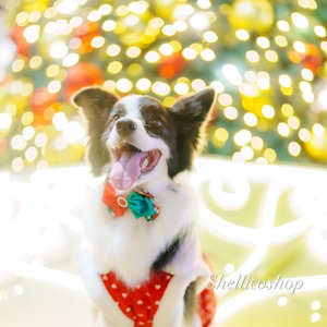 【クリスマスver】ボリュームたっぷりリボンチョーカー