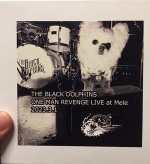 2023.3.1 THE BLACK DOLPHINS ONEMAN LIVE AT Mele