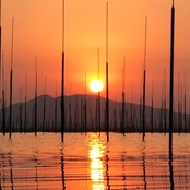 焼のり《キズ》- 新海苔 - 有明海産 100枚入