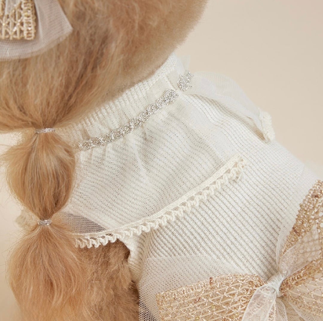 【CCPM】Fairy Cape Crop