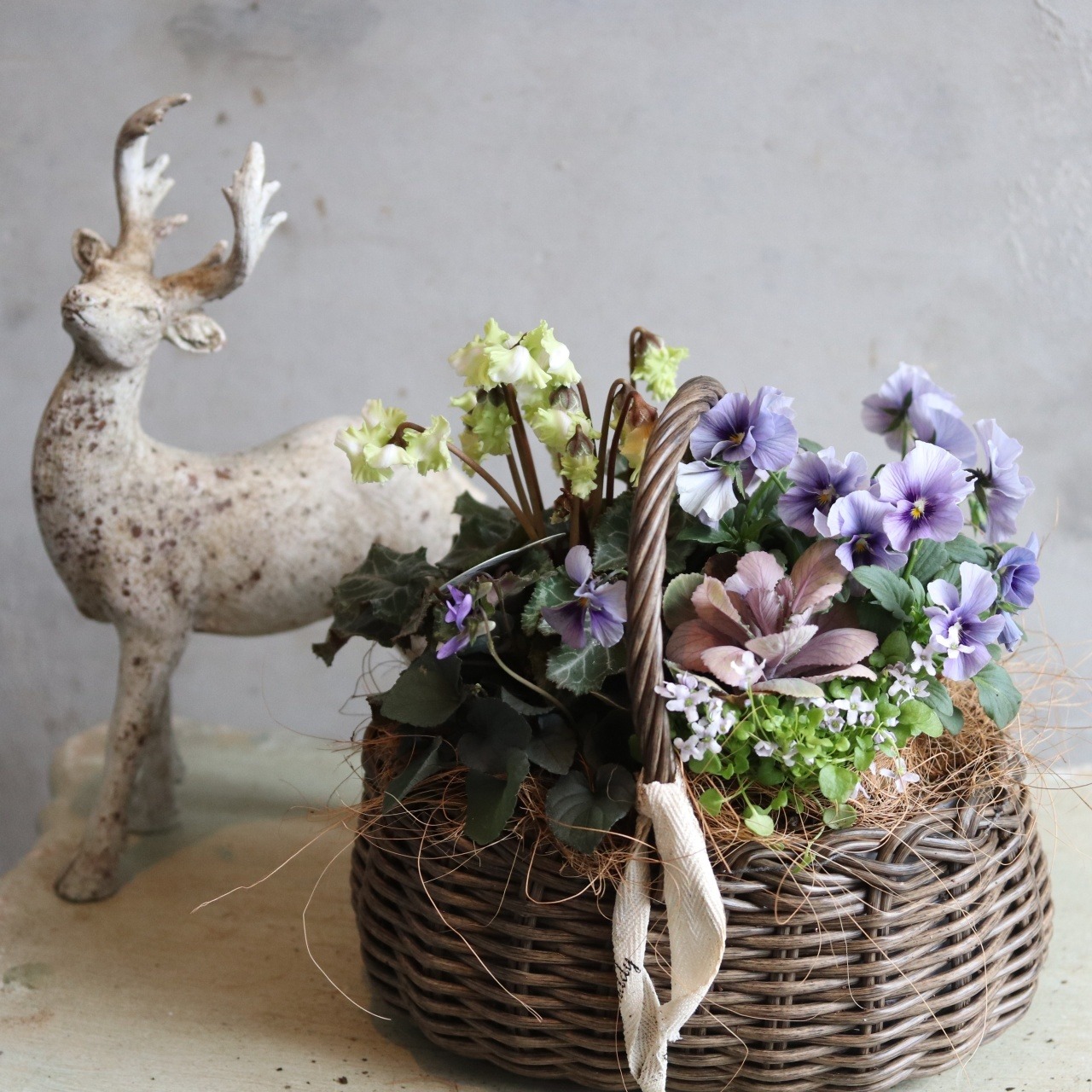 冬から春に楽しむ寄せ植え　シクラメン森の妖精とNorthIslandビオラのシャビームラサキカラーのハボタンのバスケットの寄せ植え　お正月にオススメ　届いてすぐ玄関に飾れる 　プレゼントにもオススメ　