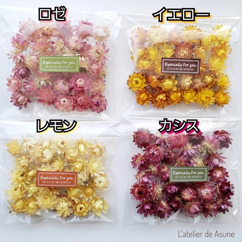 北海道産ヘリクリサム レモン 約30輪 2 3cm ヘッド 天然無着色ドライフラワー ハーバリウム花材 アトリエ明日音 アトリエ明日音 名古屋花材問屋 プリザーブドフラワー ドライフラワー ハーバリウム花材 資材