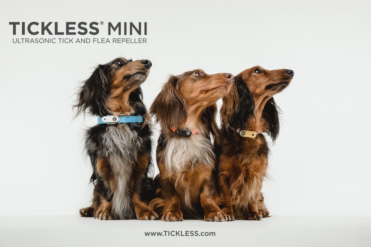 TICKLESS Mini」送料無料 (チックレス ミニ) - USB タイプ | BEM PARTNER