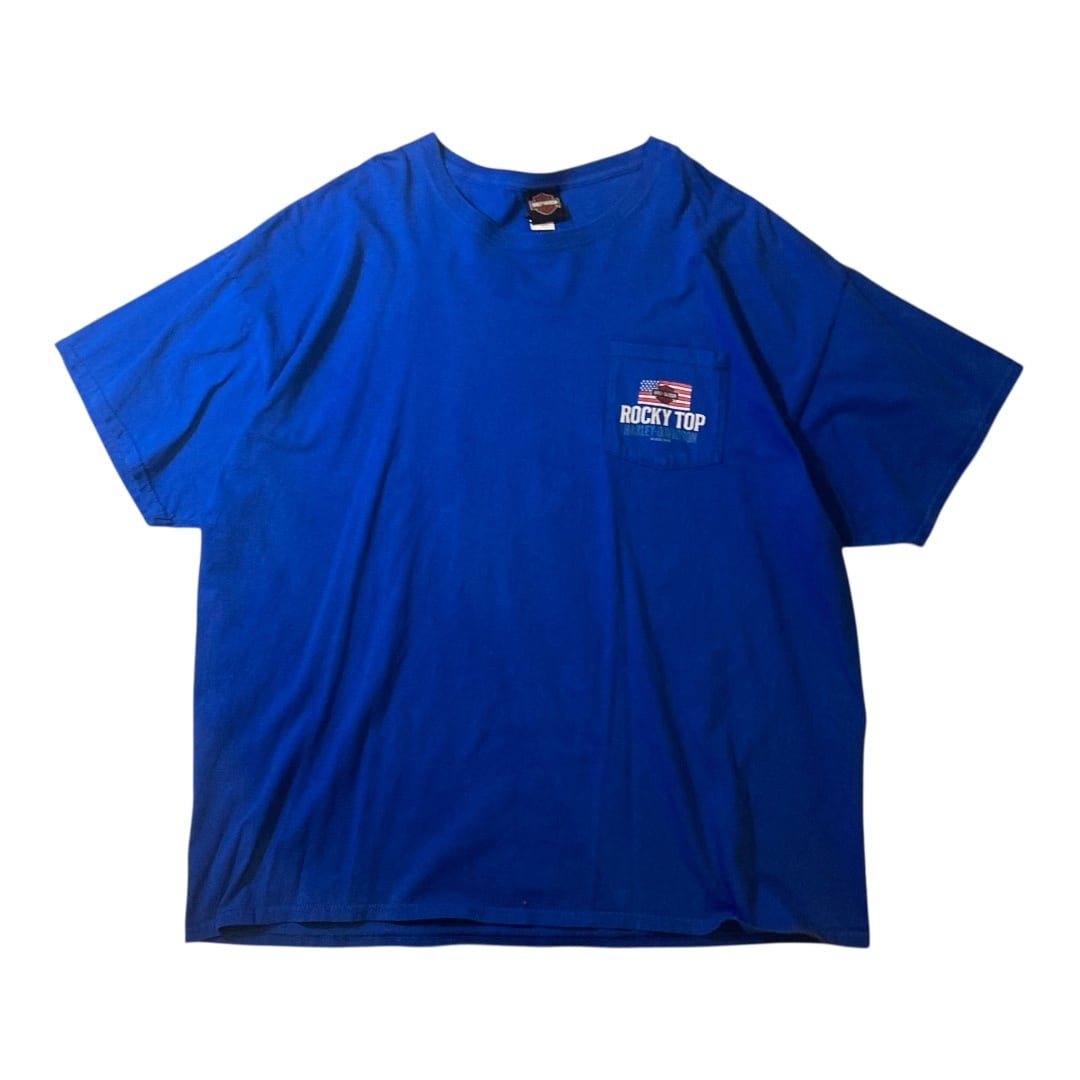 B60】90s Southern All Stars Deadstock T-shirt/1990年代 サザン