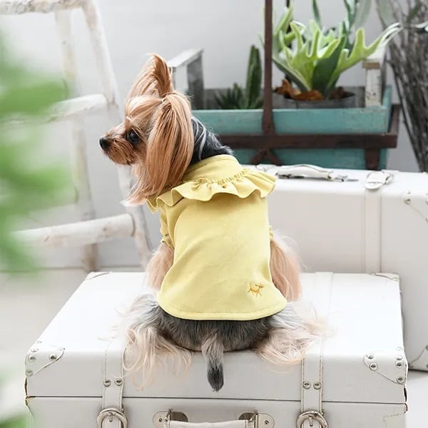 ブラックスタータンクトップ 犬服 ワンボヤージュ Jekyllegg