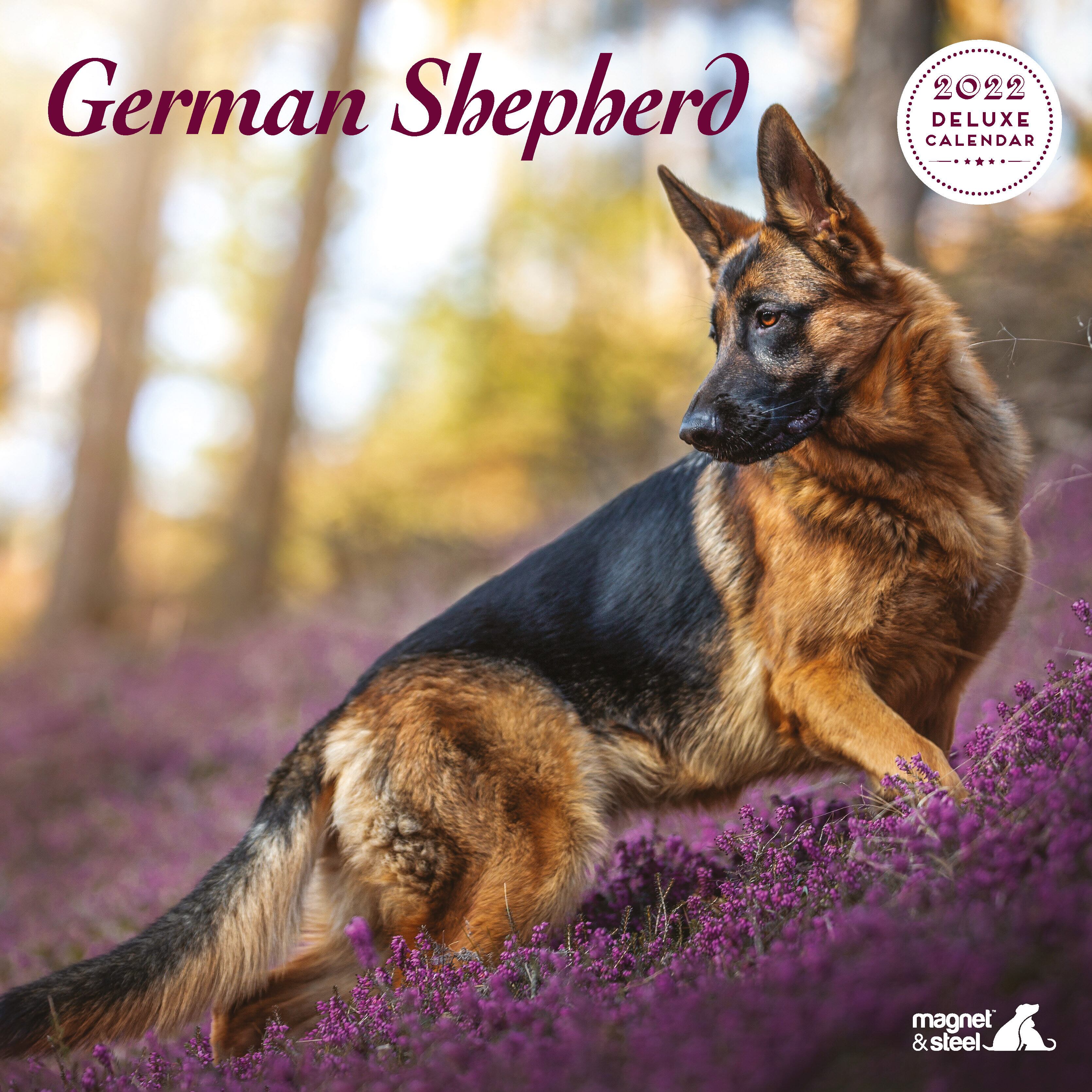 英国直輸入カレンダー ジャーマン シェパード Deluxe わんこのピース