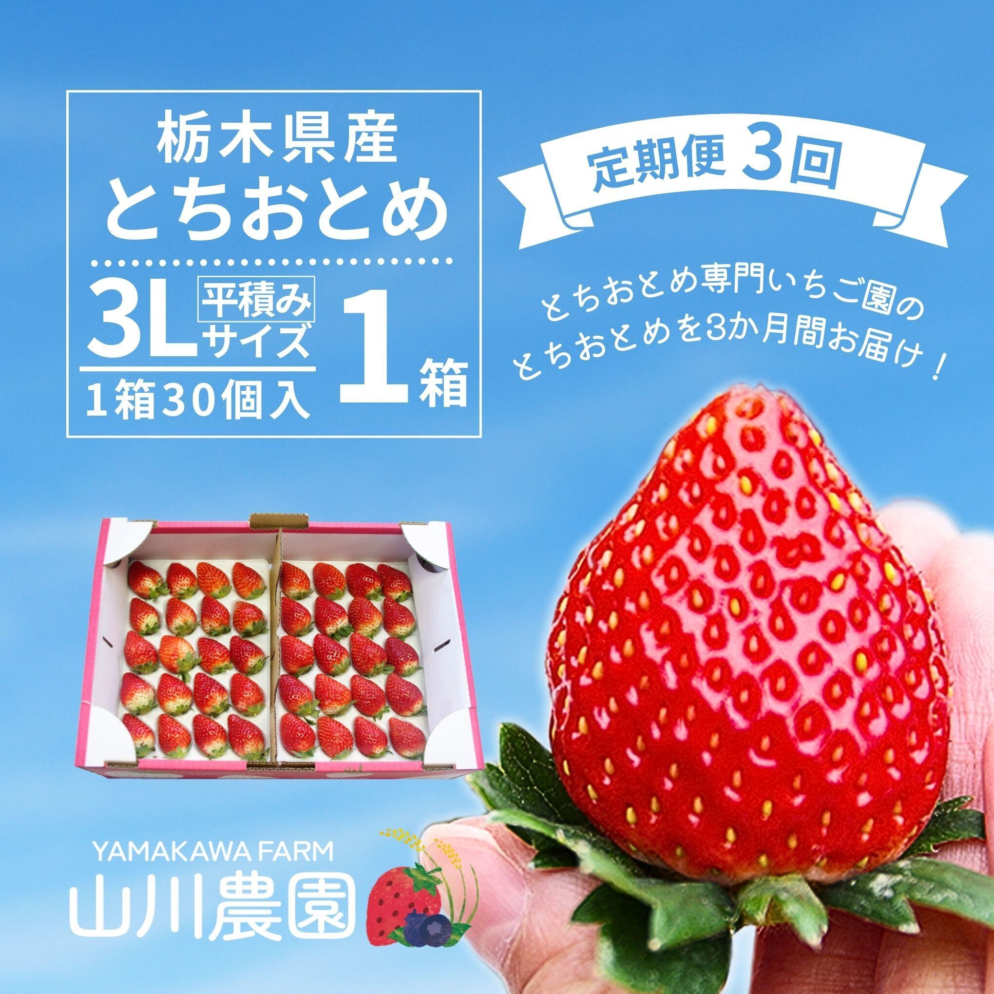 3L | 山川農園｜産直通販「あるよ」応援プロジェクト