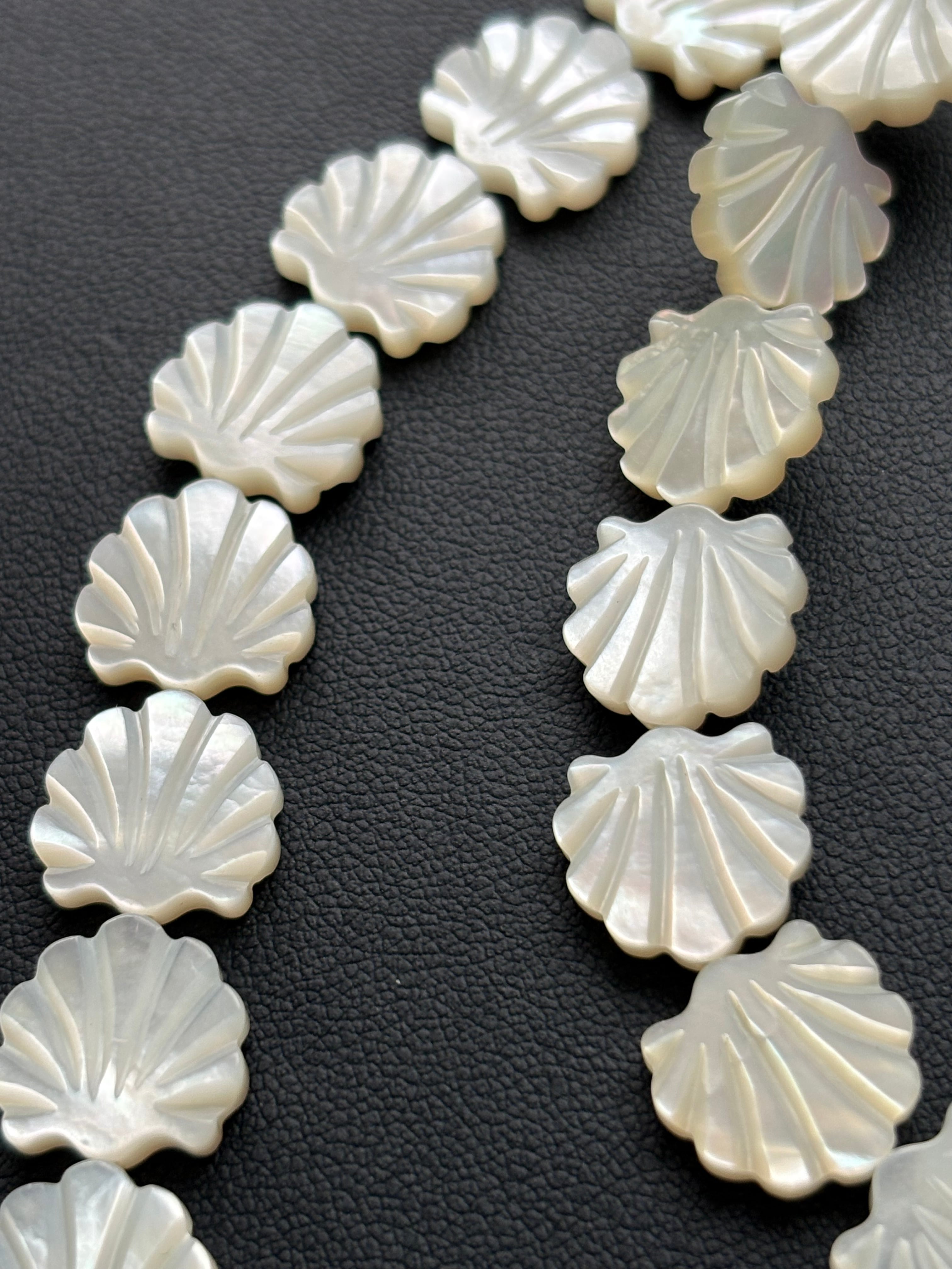 Mother of Pearl / Shell type / 10pc