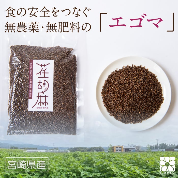 無農薬　オーガニック　エゴマ　霊芝・冬虫夏草の店　エゴマの実　国産　えごま　100g