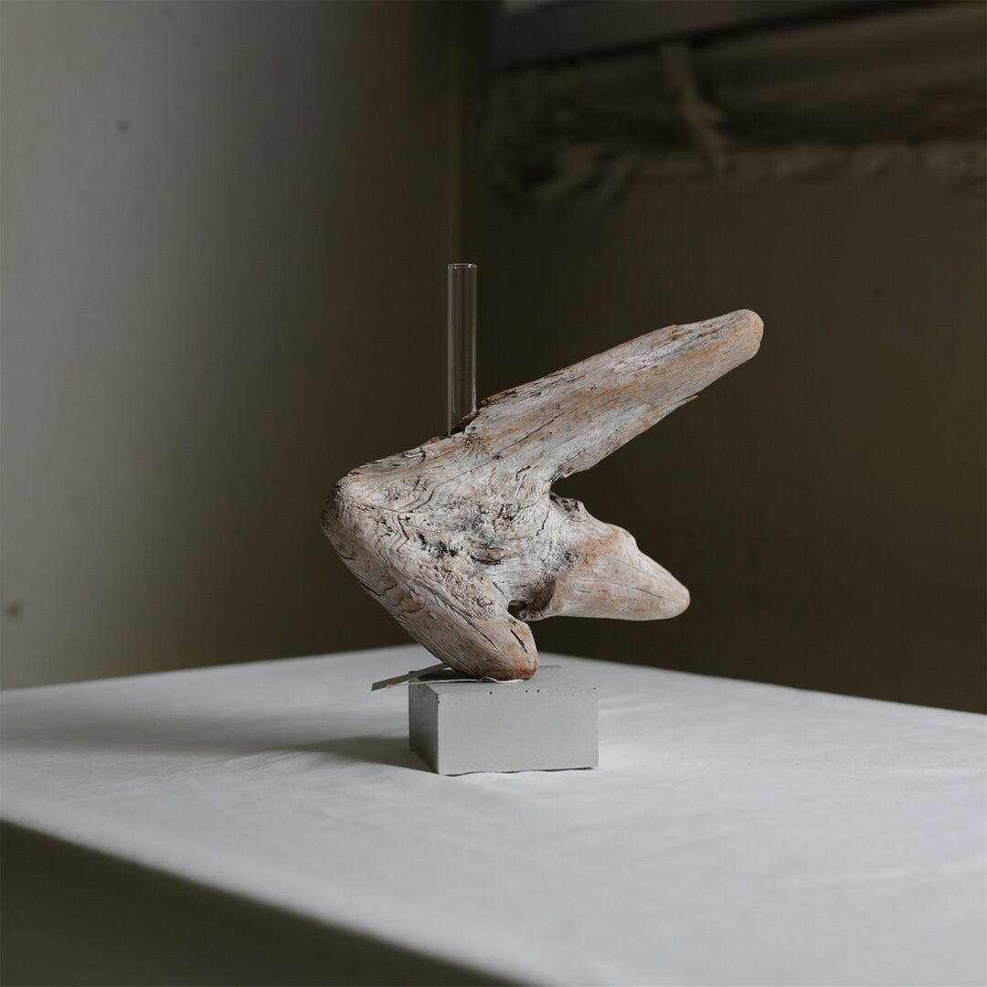 saisei (再生) driftwood flower vase cement 無塗装 | FREEPARK