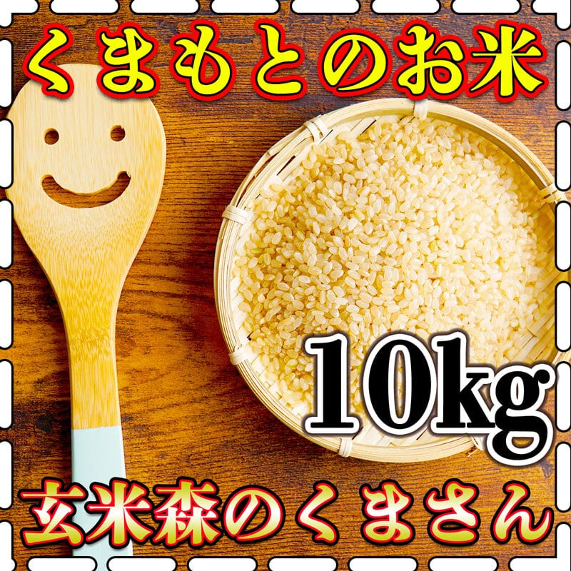 森のくまさん　BASE店　送料無料　富田商店　熊本県産　米　令和5年産　くまもとのお米販売店　5kg2個　くまもとのお米　お米　玄米　10kg　新米